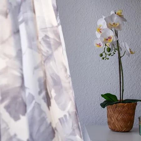 Caroline's Tropical Paradise コスタ・デル・シレンチオ